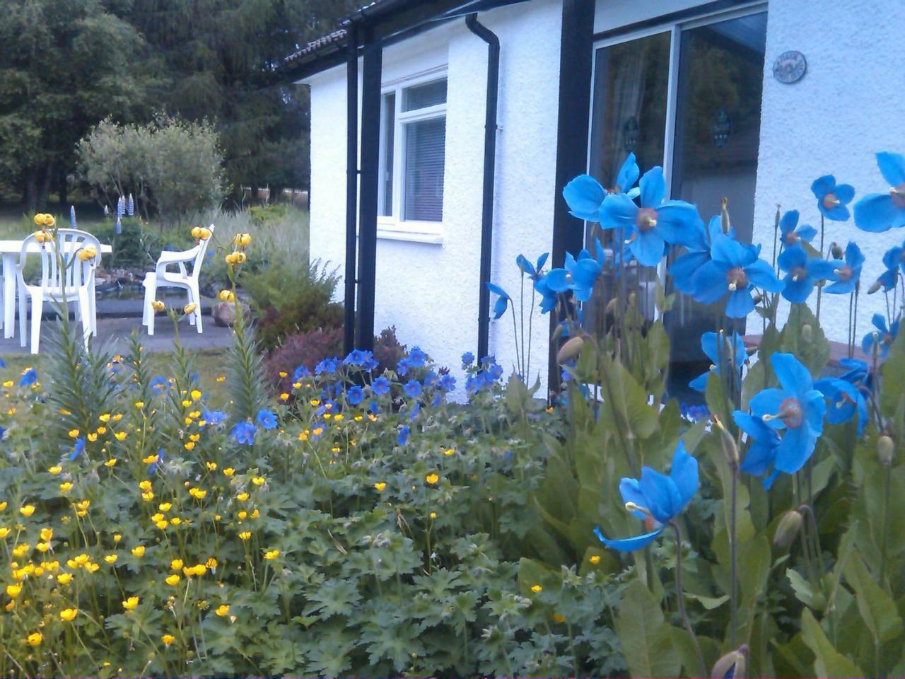 Dalkell Cottages Tyndrum Exterior foto